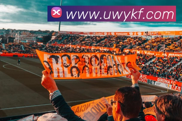 多媒体互动体验